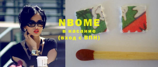 крисы Коряжма