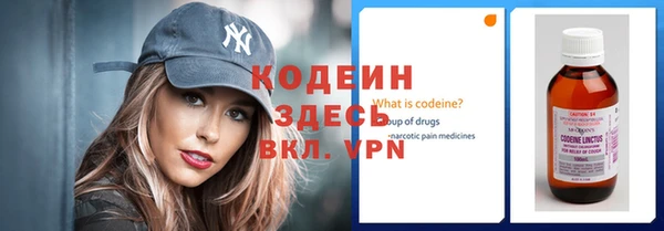 крисы Коряжма