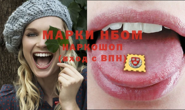 крисы Коряжма