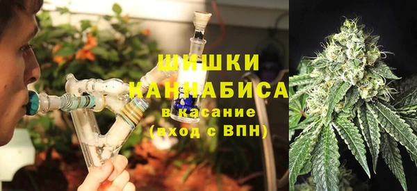 шишки Костерёво