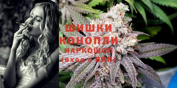 шишки Костерёво