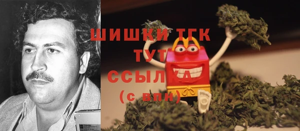 шишки Костерёво