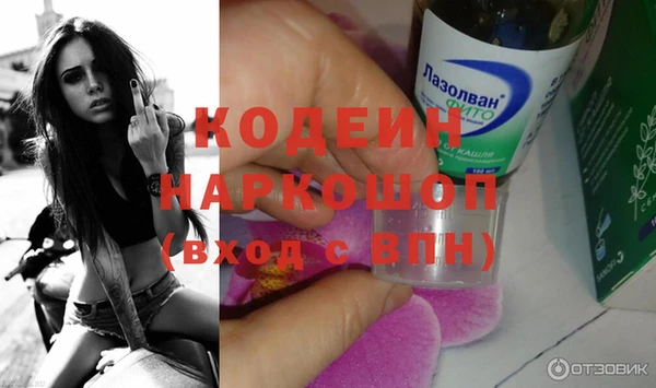 шишки Костерёво
