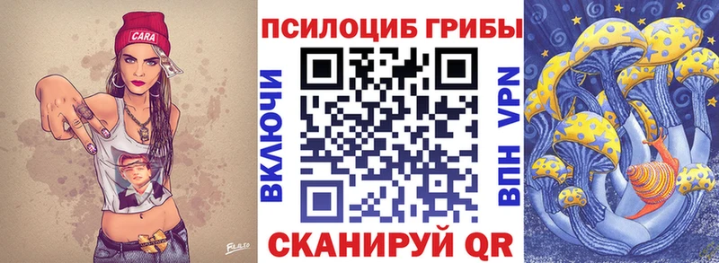 Купить закладки  Зерноград  Псилоцибиновые грибы прущие грибы 